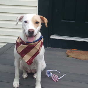 Team Page: Peaches (of the Fitzgerald Zoo)